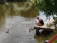 moni2  Heike hat den ganzen Zeitraum als Entenversteherin mit einer Mama mit 8 Jungen am Wasser verbracht.